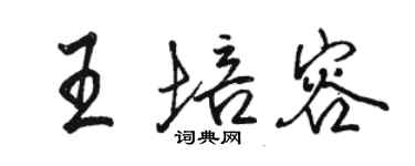 駱恆光王培容行書個性簽名怎么寫