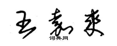 朱錫榮王嘉爽草書個性簽名怎么寫