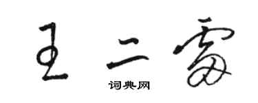 駱恆光王二雷草書個性簽名怎么寫