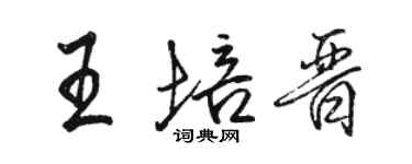 駱恆光王培晉行書個性簽名怎么寫