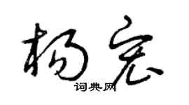 曾慶福楊宏草書個性簽名怎么寫