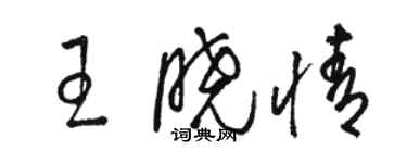 駱恆光王曉情草書個性簽名怎么寫