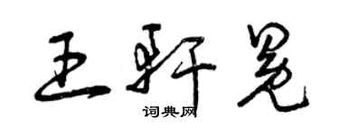 曾慶福王軒冕草書個性簽名怎么寫