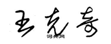 朱錫榮王克奇草書個性簽名怎么寫