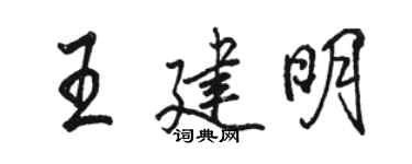 駱恆光王建明行書個性簽名怎么寫