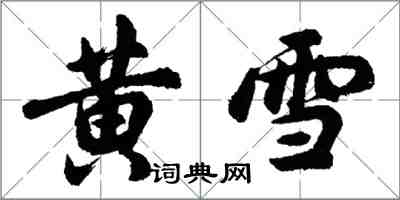 胡問遂黃雪行書怎么寫