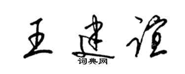 梁錦英王建誼草書個性簽名怎么寫