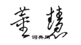 駱恆光董慧草書個性簽名怎么寫