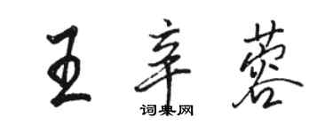 駱恆光王辛蓉行書個性簽名怎么寫