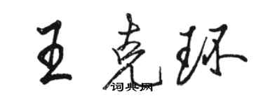 駱恆光王克環行書個性簽名怎么寫