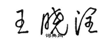 駱恆光王曉潤草書個性簽名怎么寫