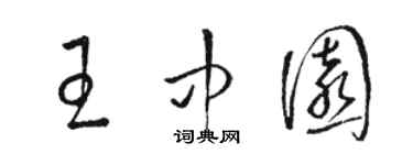 駱恆光王中園草書個性簽名怎么寫