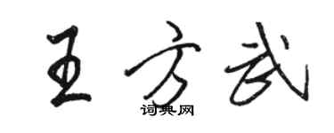 駱恆光王方武行書個性簽名怎么寫