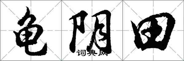 胡問遂龜陰田行書怎么寫