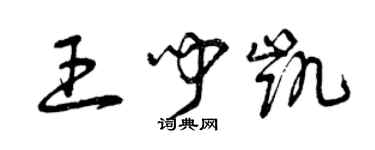 曾慶福王聞凱草書個性簽名怎么寫