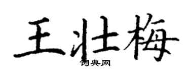 丁謙王壯梅楷書個性簽名怎么寫