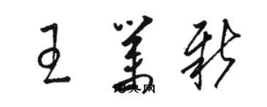 駱恆光王業新草書個性簽名怎么寫