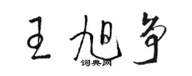 駱恆光王旭爭草書個性簽名怎么寫