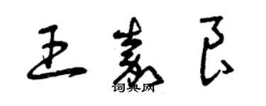 曾慶福王嘉良草書個性簽名怎么寫