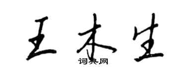 王正良王木生行書個性簽名怎么寫