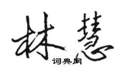駱恆光林慧行書個性簽名怎么寫
