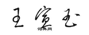 駱恆光王宣玉草書個性簽名怎么寫