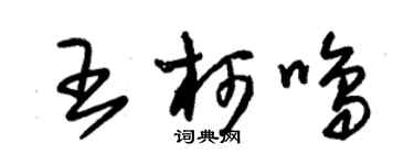朱錫榮王柯鳴草書個性簽名怎么寫