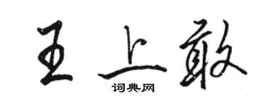 駱恆光王上敢行書個性簽名怎么寫