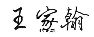 駱恆光王家翰行書個性簽名怎么寫