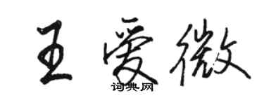 駱恆光王愛微行書個性簽名怎么寫