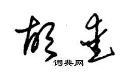 朱錫榮胡愛草書個性簽名怎么寫