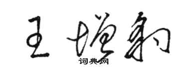 駱恆光王增豹草書個性簽名怎么寫