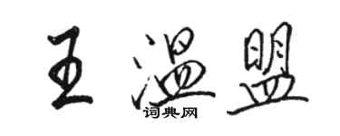 駱恆光王溫盟行書個性簽名怎么寫