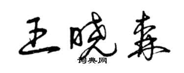 曾慶福王曉森草書個性簽名怎么寫