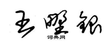 朱錫榮王野銀草書個性簽名怎么寫