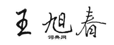 駱恆光王旭春行書個性簽名怎么寫