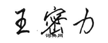 駱恆光王密力行書個性簽名怎么寫