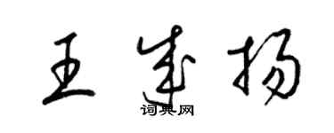 梁錦英王成揚草書個性簽名怎么寫