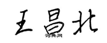 王正良王昌北行書個性簽名怎么寫