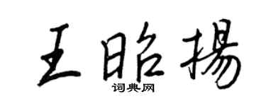王正良王昭揚行書個性簽名怎么寫