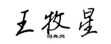 王正良王牧星行書個性簽名怎么寫