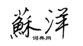 王正良蘇洋行書個性簽名怎么寫