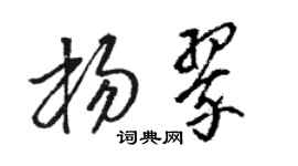 駱恆光楊翠草書個性簽名怎么寫