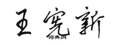 駱恆光王憲新行書個性簽名怎么寫