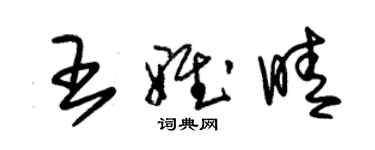 朱錫榮王雅晴草書個性簽名怎么寫