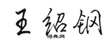 駱恆光王紹鋼行書個性簽名怎么寫