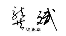 梁錦英龔斌草書個性簽名怎么寫