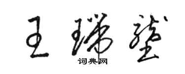 駱恆光王瑞壟草書個性簽名怎么寫