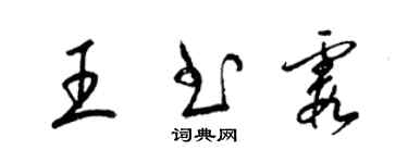 梁錦英王書霞草書個性簽名怎么寫