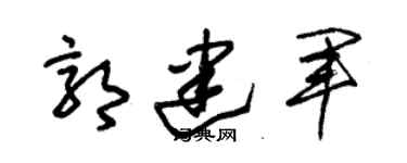朱錫榮郭建軍草書個性簽名怎么寫